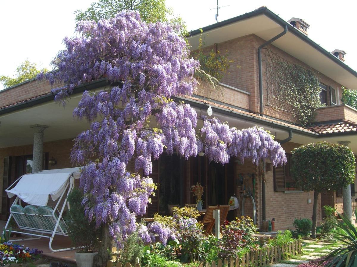 B&B Les Fleurettes Lomazzo Exteriör bild